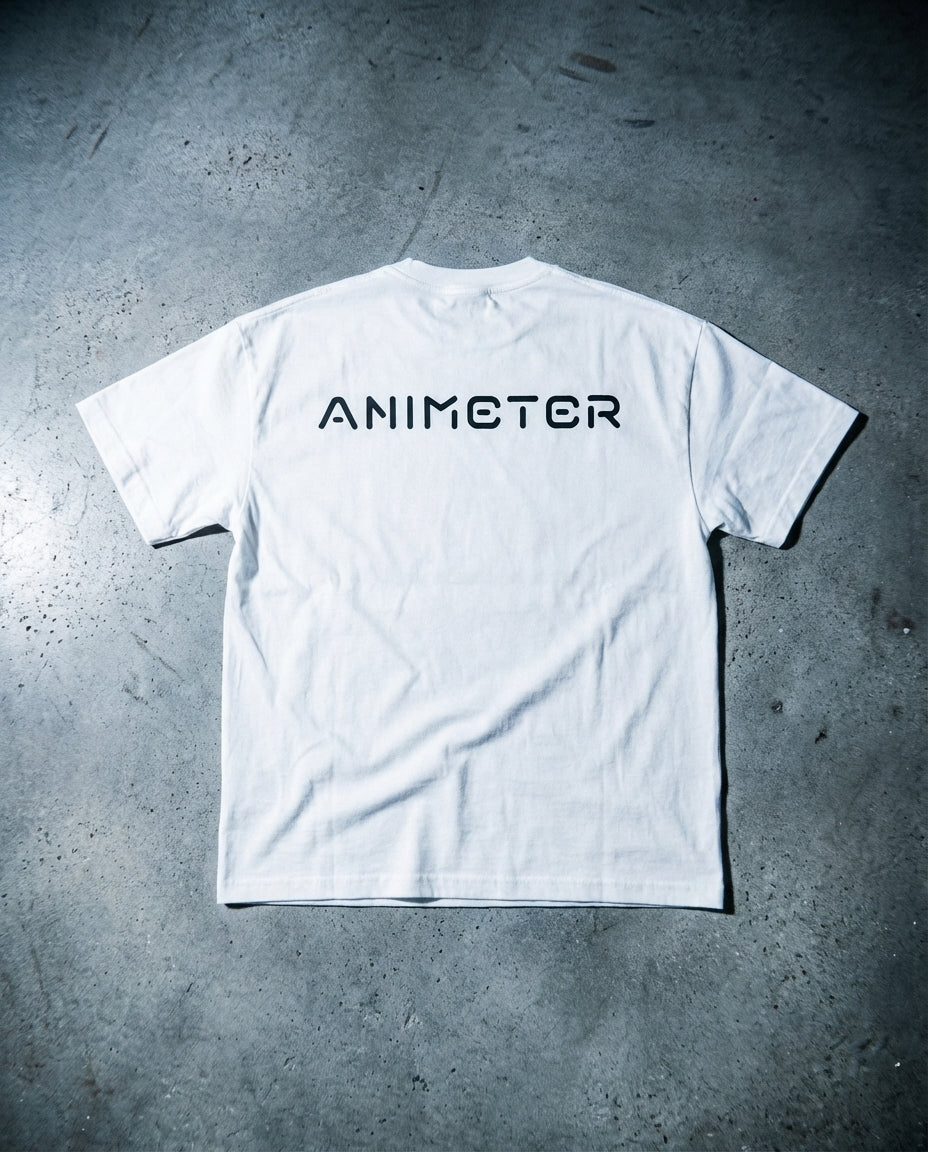 2025/11/29 11:13 Animeter IRL 3_0.007829462925150965.webp