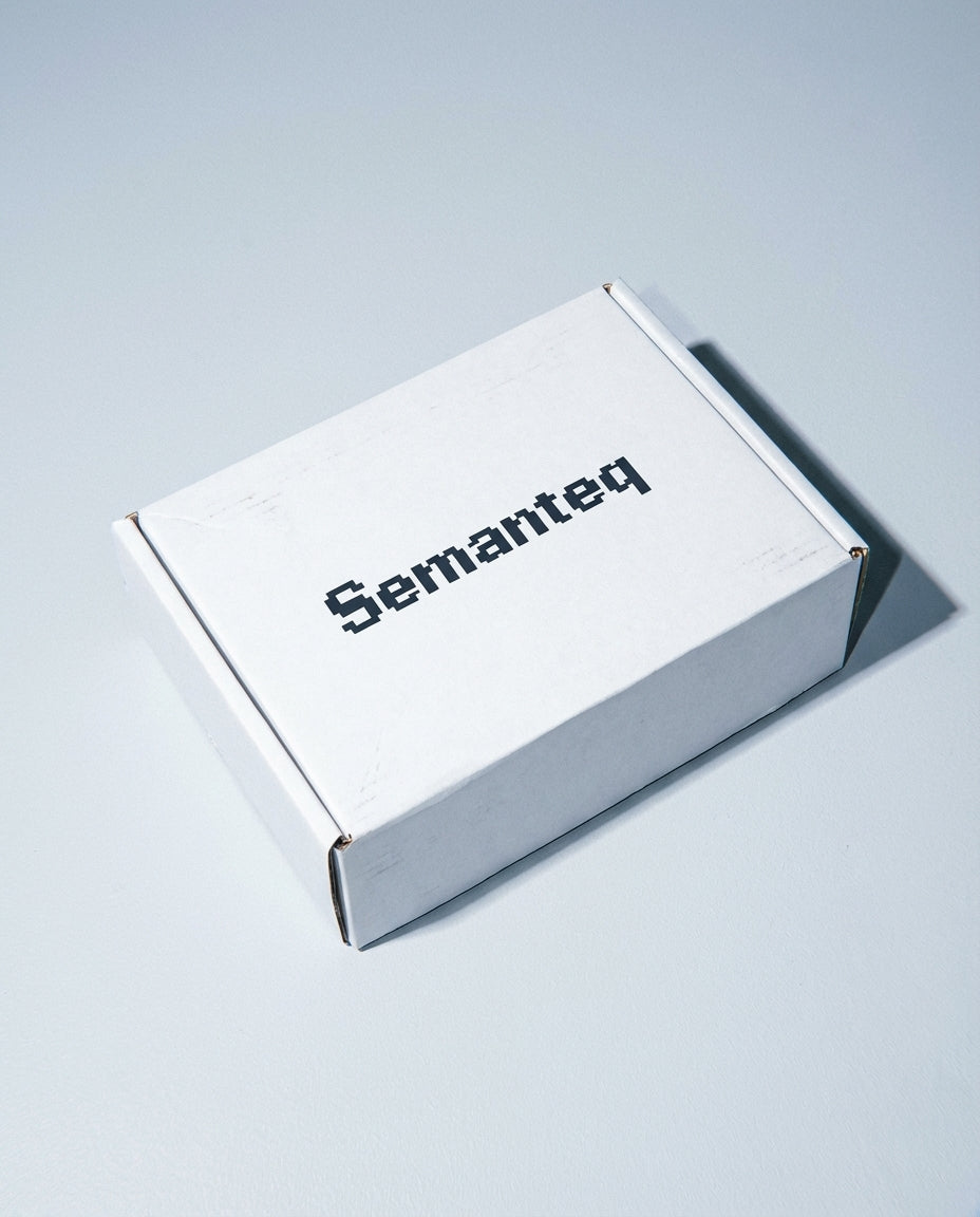 2025/11/23 15:55 Semanteq IRL 2_0.19489685237594823.webp