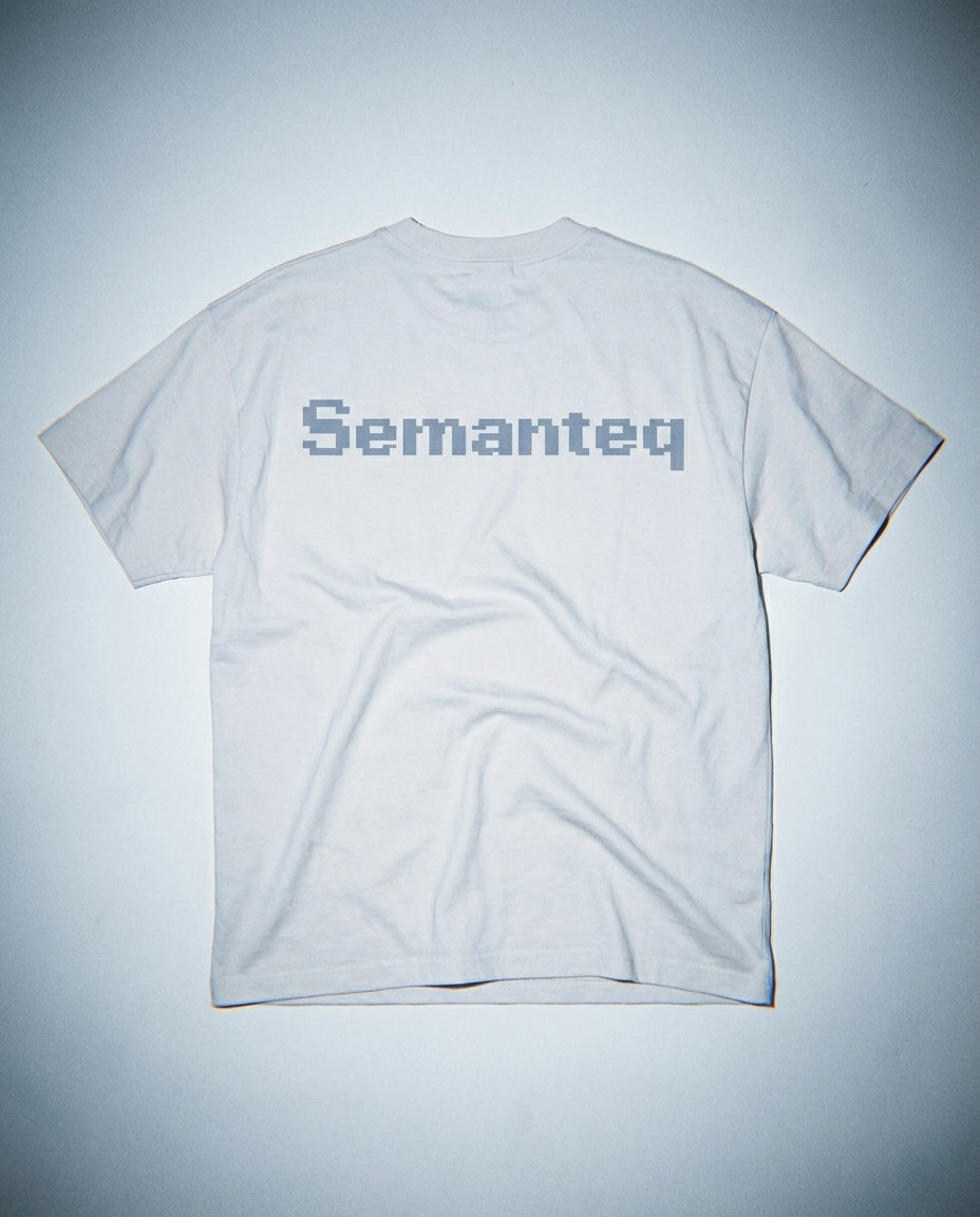 2025/11/23 15:55 Semanteq IRL 3_0.27582894239801137.webp