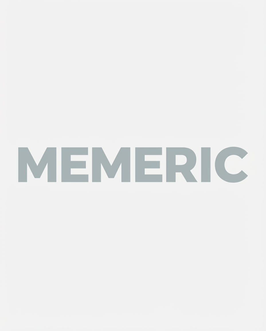 2025/11/24 14:08 Memeric Logo in Color Scheme_0.6057477126814264.webp