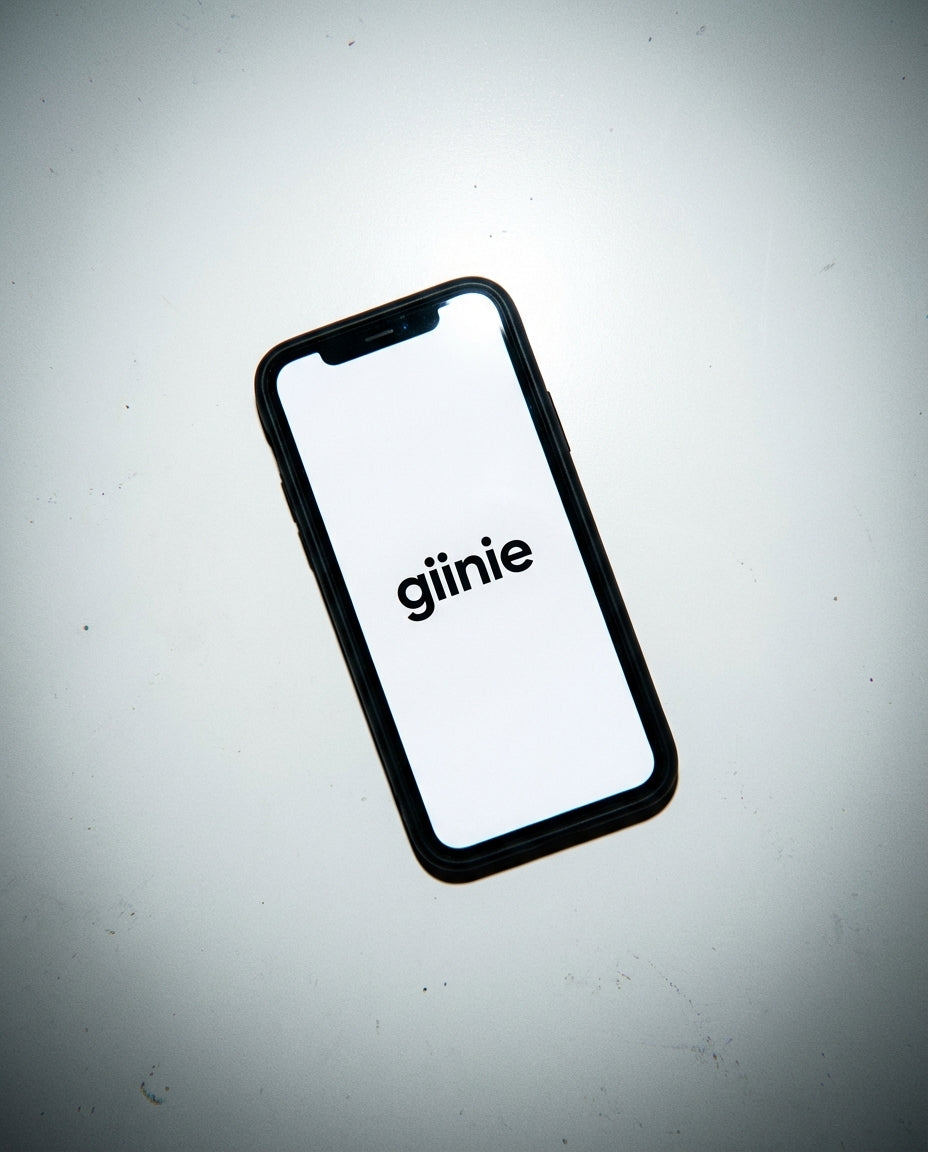 2025/11/23 15:01 g i i n i e IRL 4_0.3462152316481033.webp