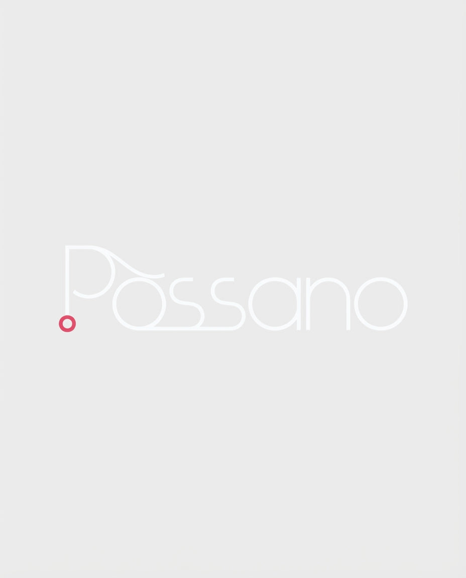 2025/11/29 10:57 Possano Logo in Color Scheme_0.92139330883662.webp