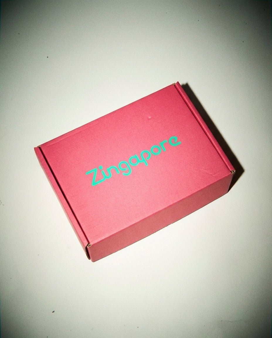 2025/11/29 11:09 Zingapore IRL 2_0.2868837015927952.webp