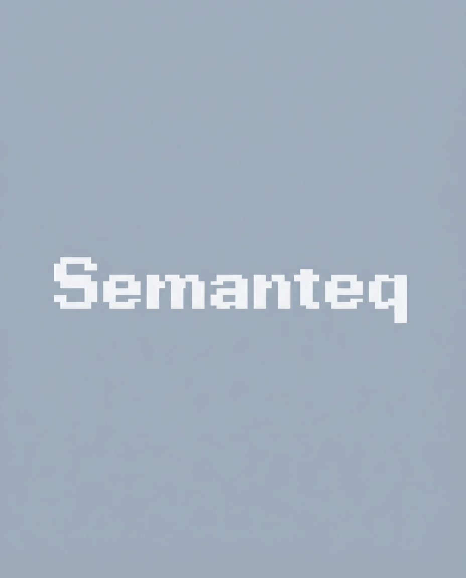 2025/11/23 15:56 Semanteq Logo in Color Scheme_0.5304805809574424.webp