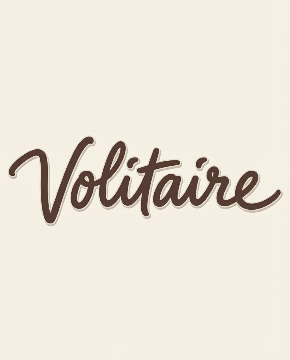 2025/12/02 16:24 Volitaire Logo in Color Scheme_0.4689130852525525.webp