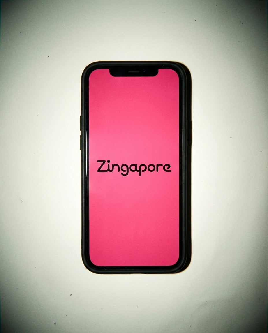 2025/11/29 11:09 Zingapore IRL 4_0.48603646733688555.webp