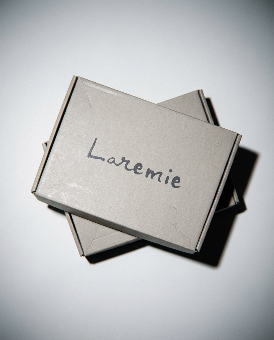 2025/12/02 16:05 Laremie IRL 2_0.7788289654596465.webp