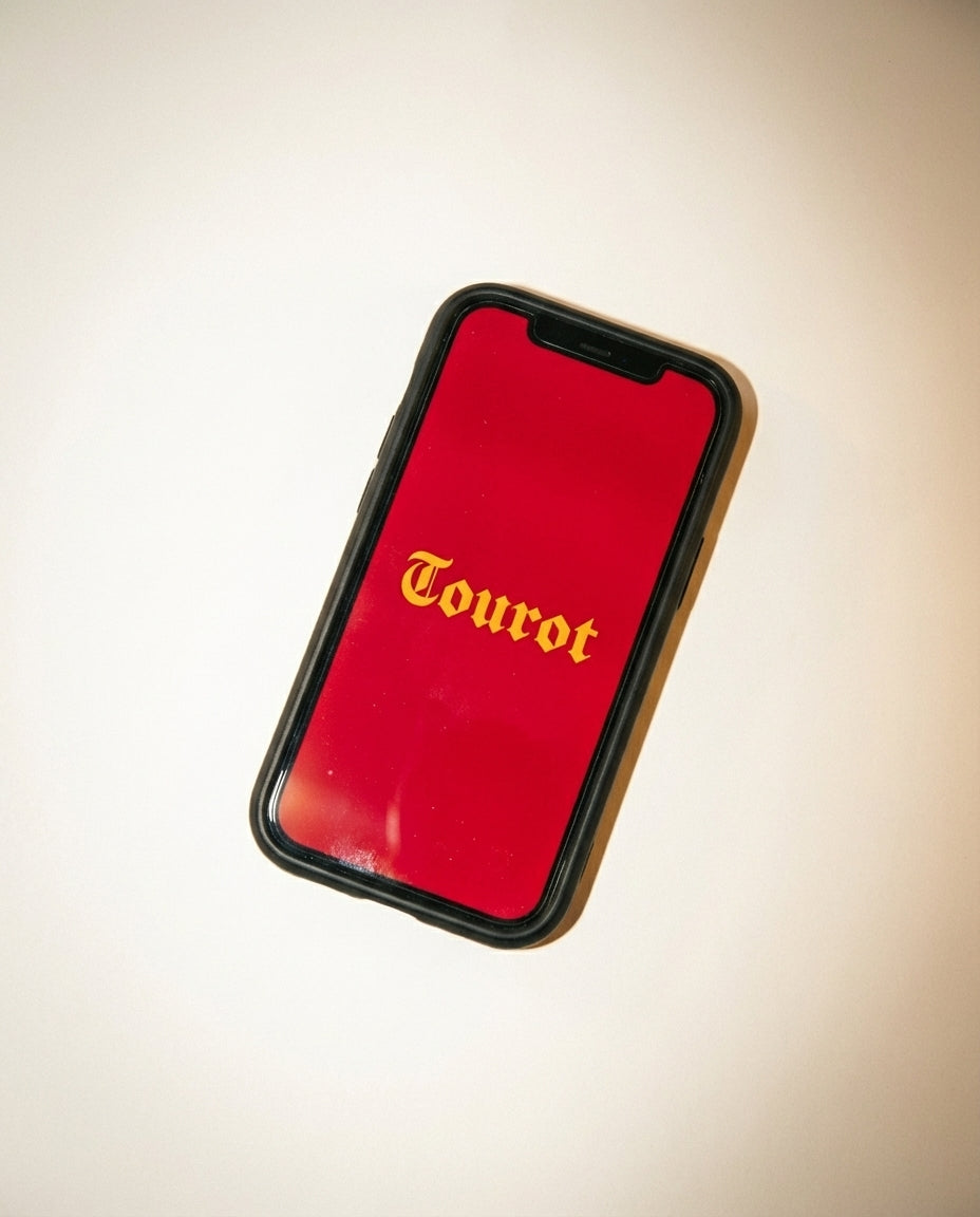 2025/11/24 09:18 Tourot IRL 4_0.6644445071883731.webp